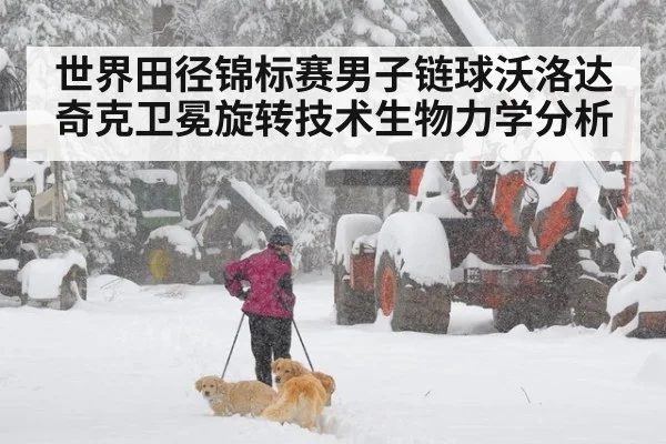 世界田径锦标赛男子链球沃洛达奇克卫冕旋转技术生物力学分析